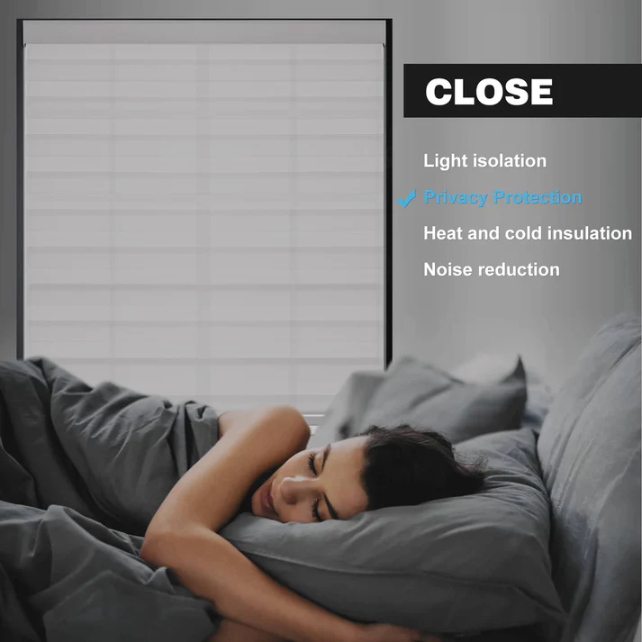 Custom Light Filtering Cordless Zebra Roller Shades - Image 7