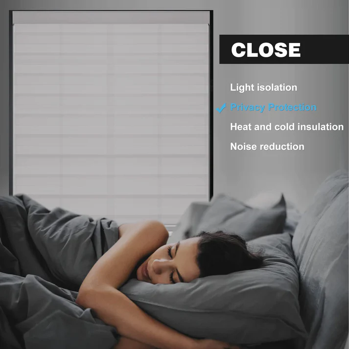 Custom Cordless Light Filtering Zebra Roller shades - Image 4