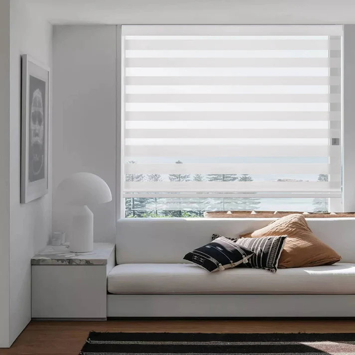Custom Light Filtering Cordless Zebra Roller Shades
